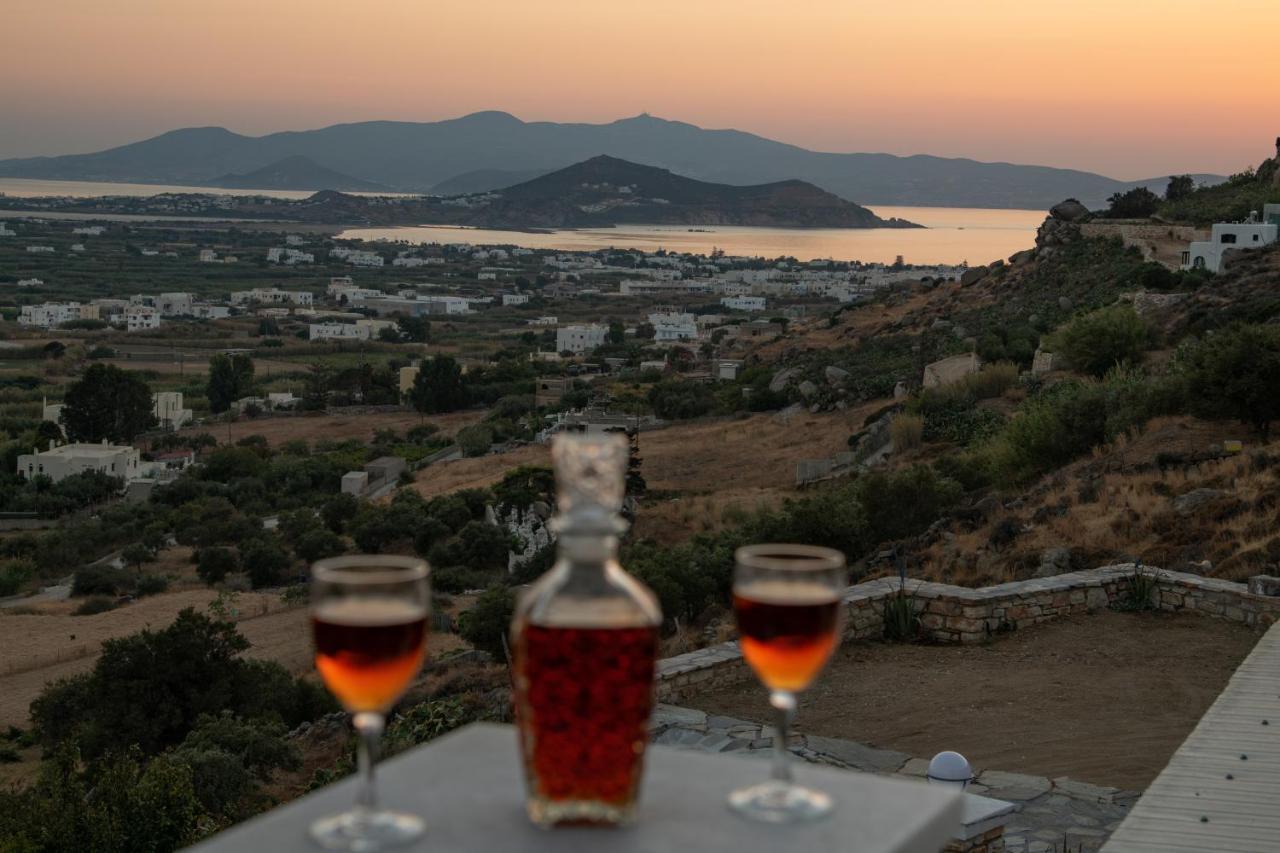 Aparthotel Alta Vista Naxos Naxos City Esterno foto