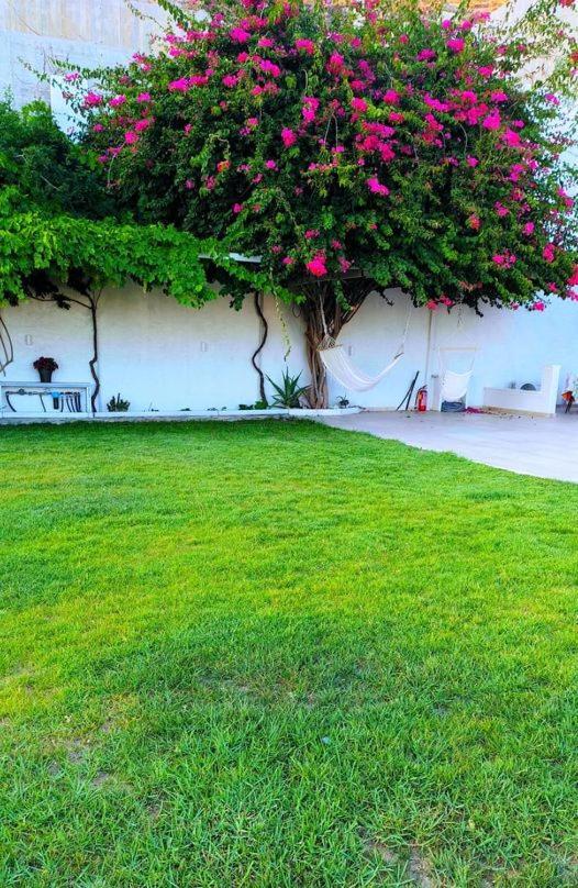 Aparthotel Alta Vista Naxos Naxos City Esterno foto